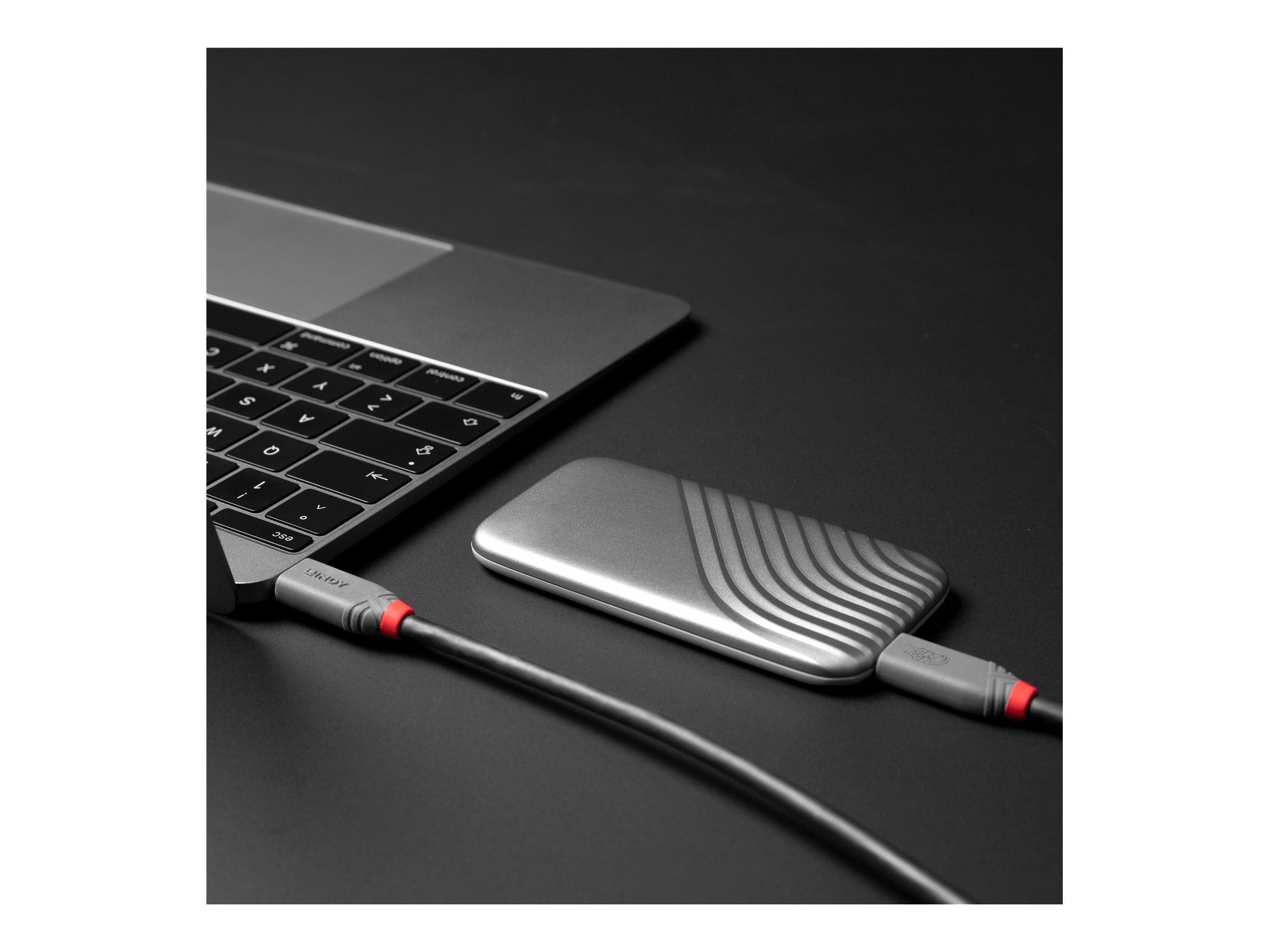 LINDY 2m USB 4 240W Type C Cable Verpackung