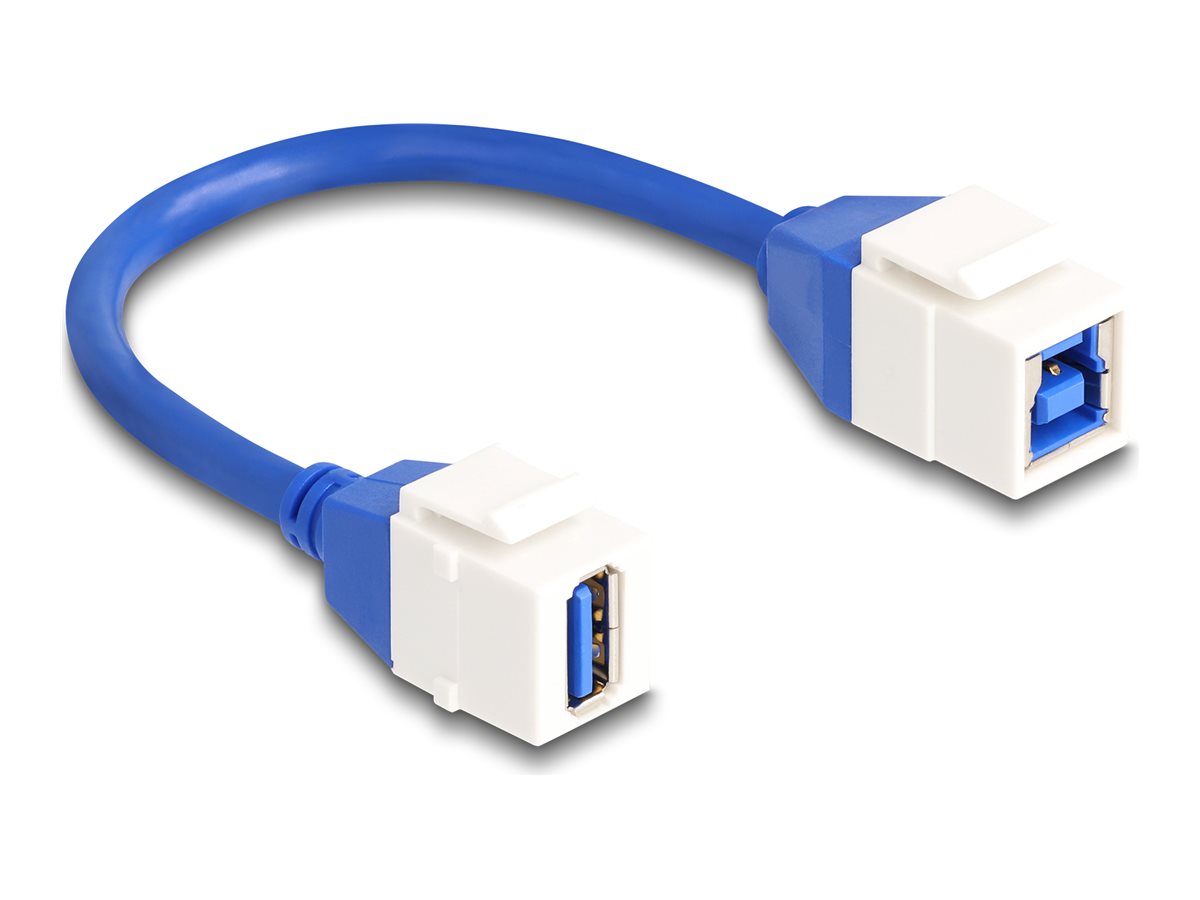 DELOCK Keystone Modul Kabel USB 5 Gbps Typ-A Buchse zu USB Typ-B Buchse 20cm - Vorderansicht
