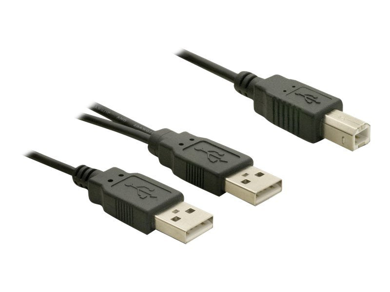 DELOCK Kabel USB 2.0 B - > USB-A Power + Power / Data Vorderansicht