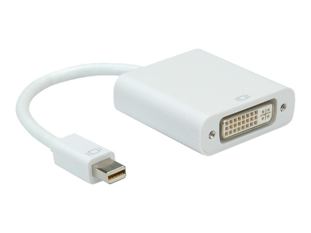 ROLINE Mini DisplayPort-DVI Adapter Verpackung