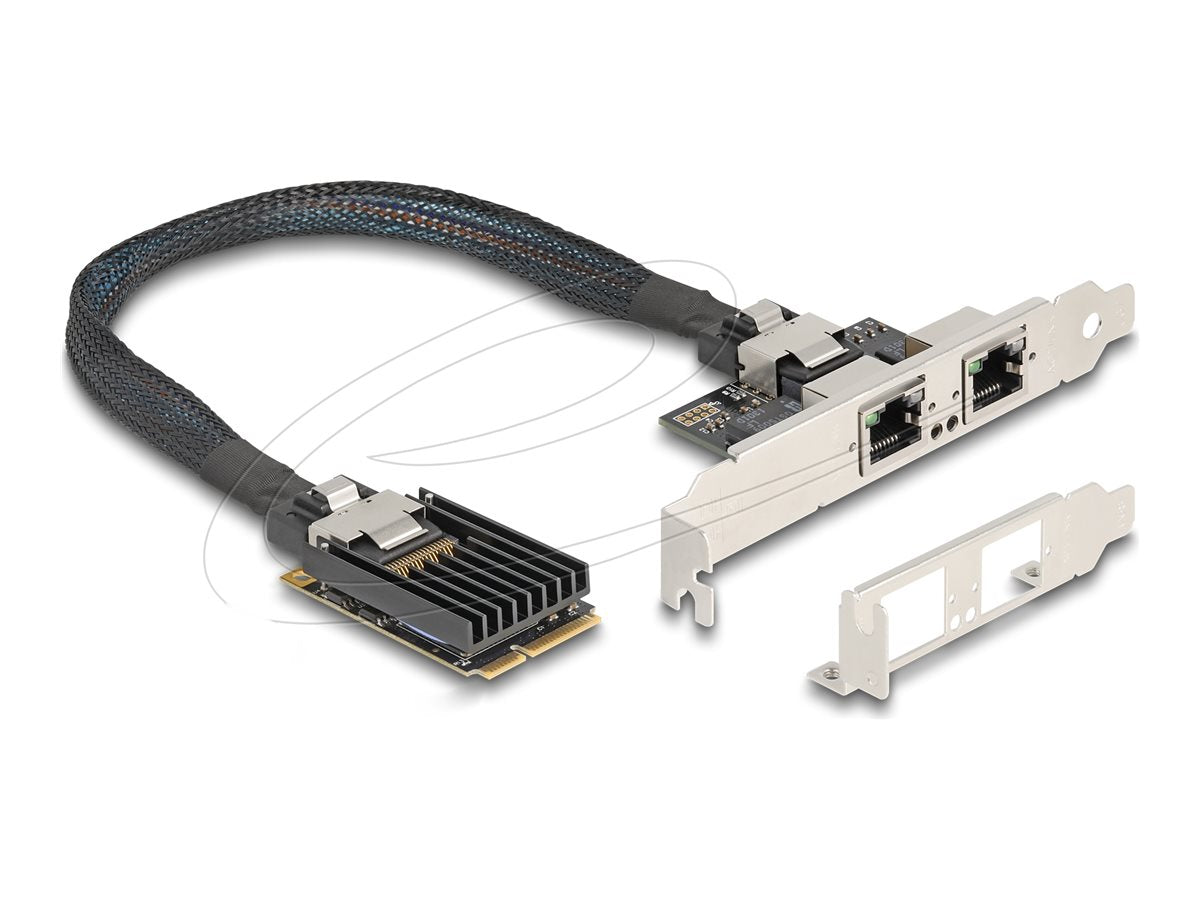 DELOCK Mini PCIe I/O PCIe full size 2 x RJ45 Gigabit LAN Vorderansicht