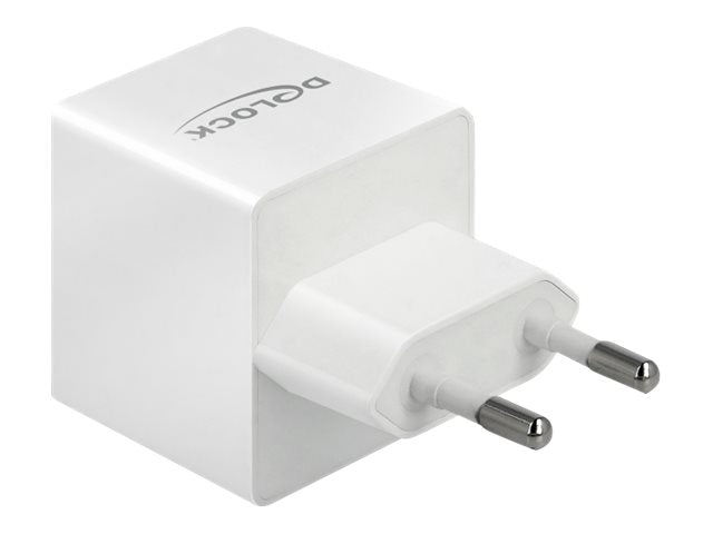 DELOCK USB Ladegerät Detailansicht