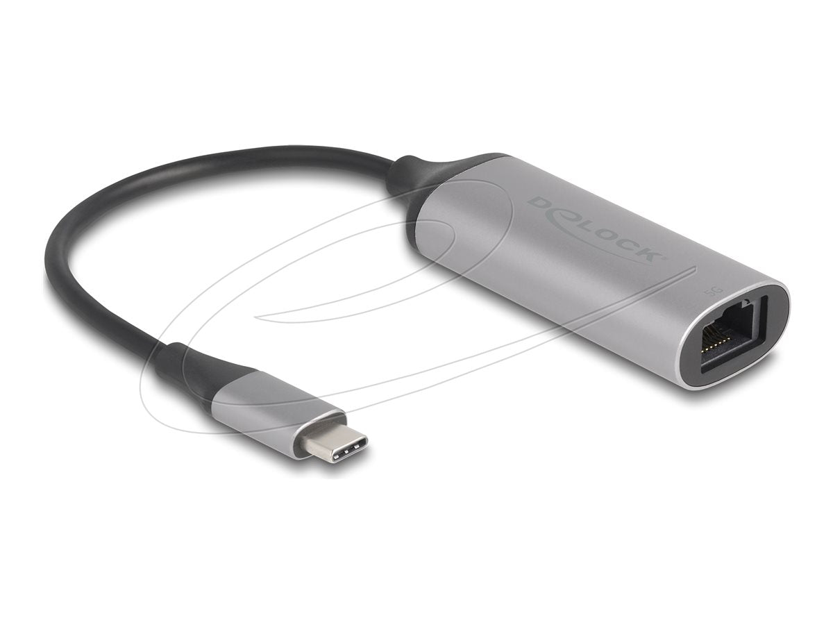 DELOCK USB Type-C Adapter zu 5 Gigabit LAN - Vorderansicht
