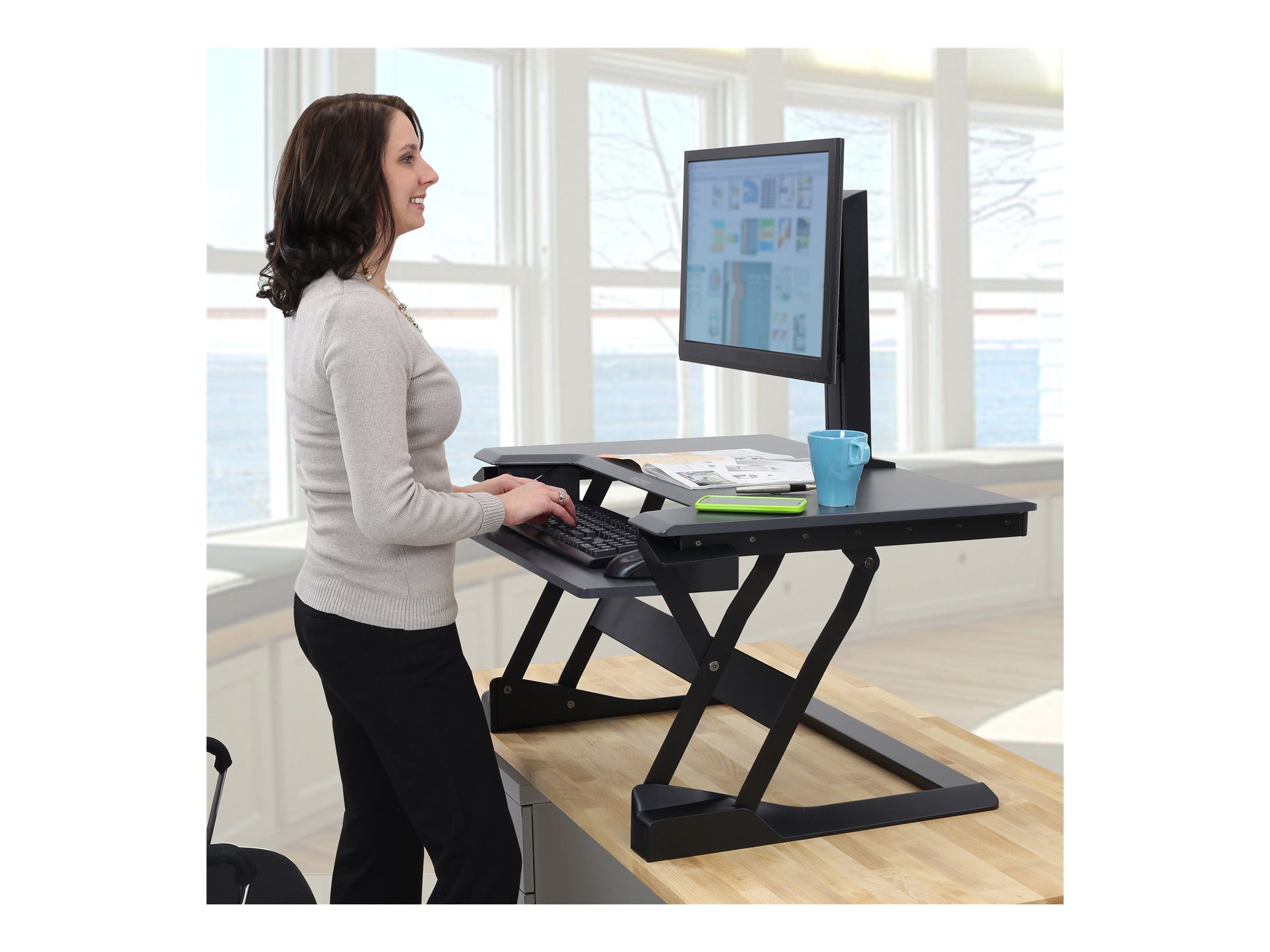 ERGOTRON WorkFit Single HD Monitor Kit black - Detailansicht