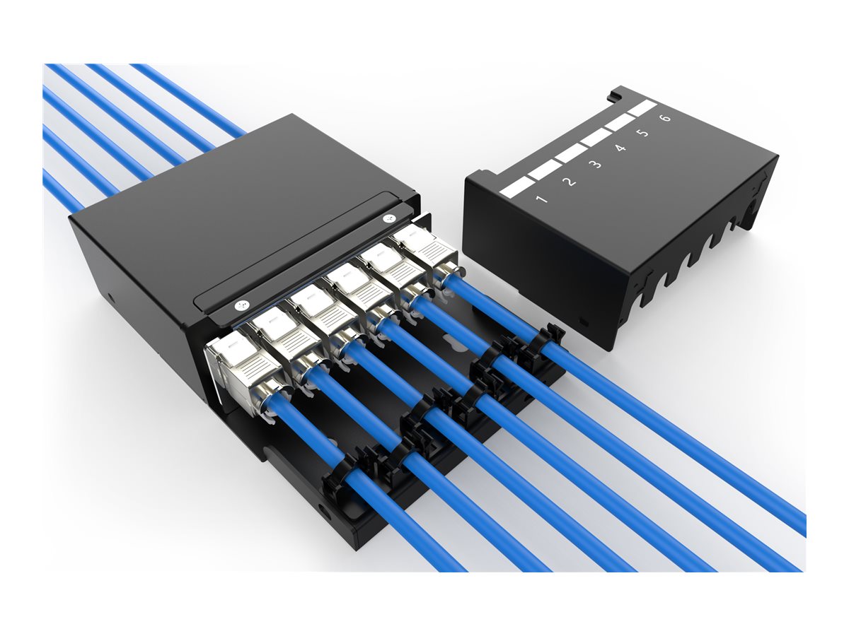 DIGITUS Consolidation Point Box 6 ports Keystone modules - Vorderansicht