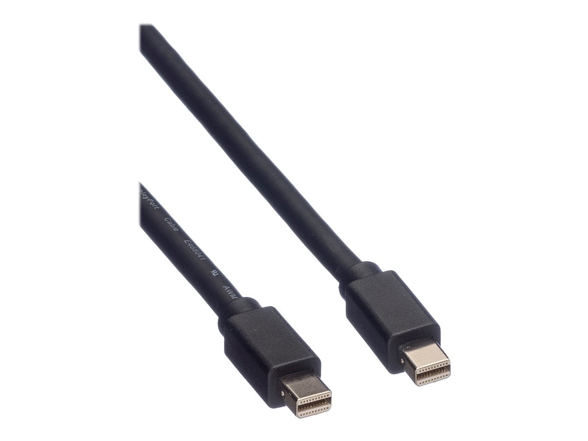 ROLINE DisplayPort Kabel Mini DP ST - Detailansicht
