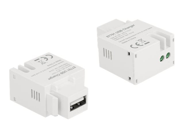 DELOCK Keystone Modul mit USB Typ-A Ladebuchse 2,1 A - Verpackung