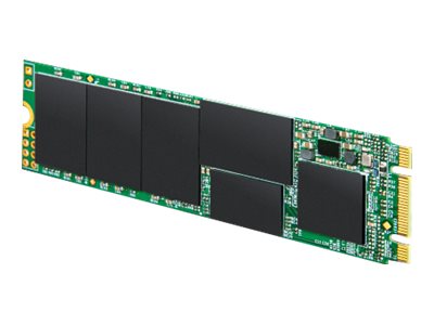 TRANSCEND 256GB M.2 2280 SSD Detailansicht