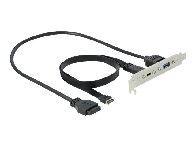 DELOCK Slotblech mit USB Type-C und USB Typ-A Port Vorderansicht