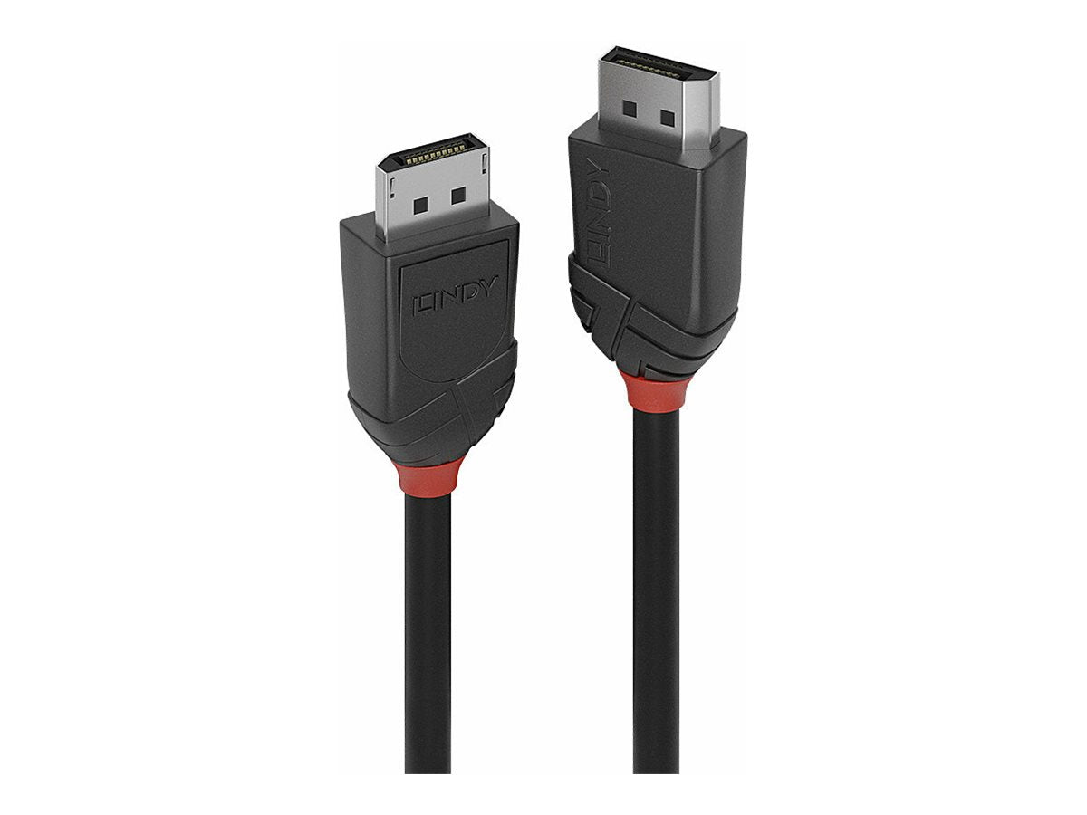 LINDY 2m DisplayPort 1.2 Kabel Black Line - Vorderansicht