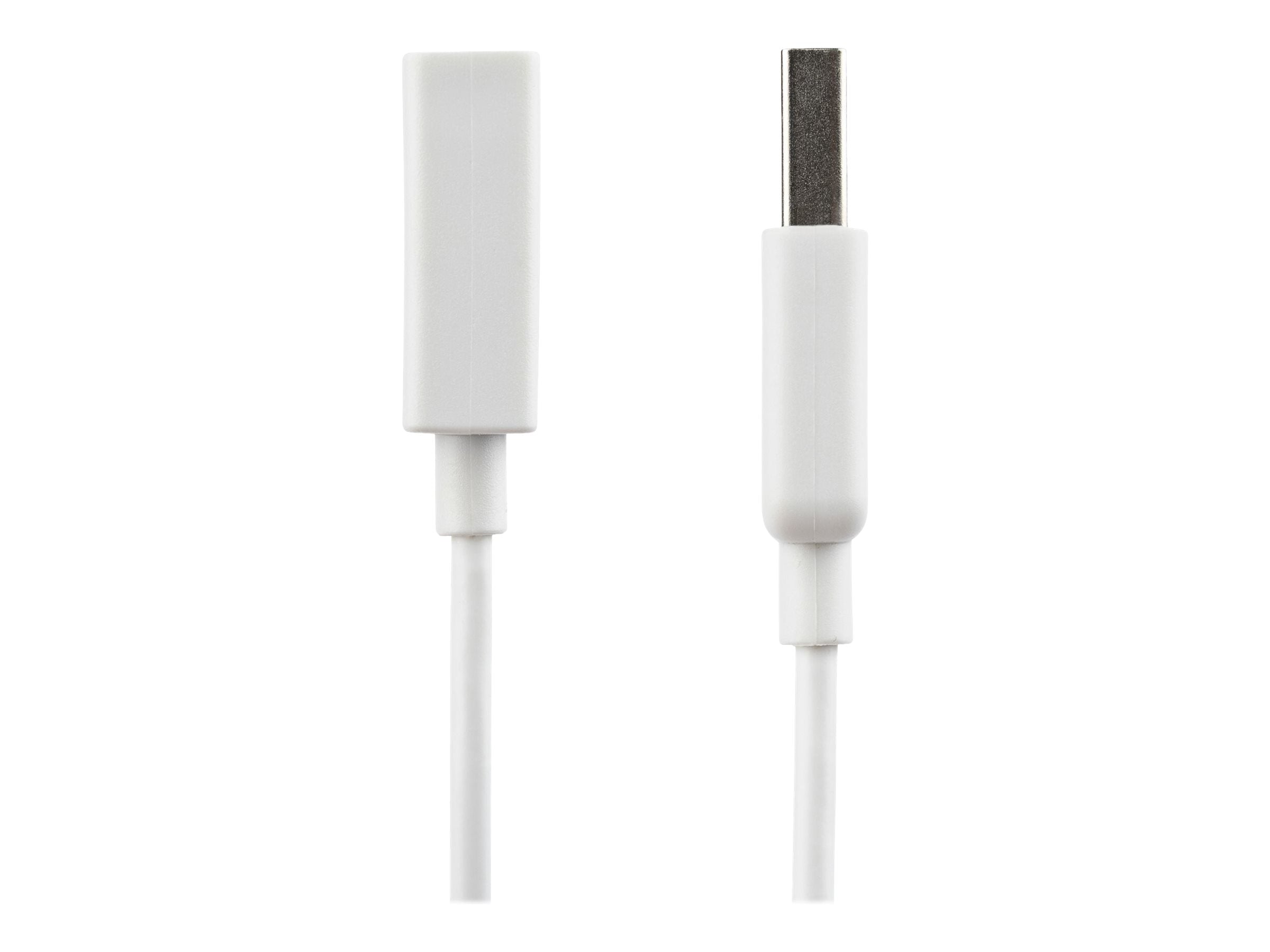 STARTECH.COM 1m USB 2.0 Verlängerungskabel A auf A - Vorderansicht