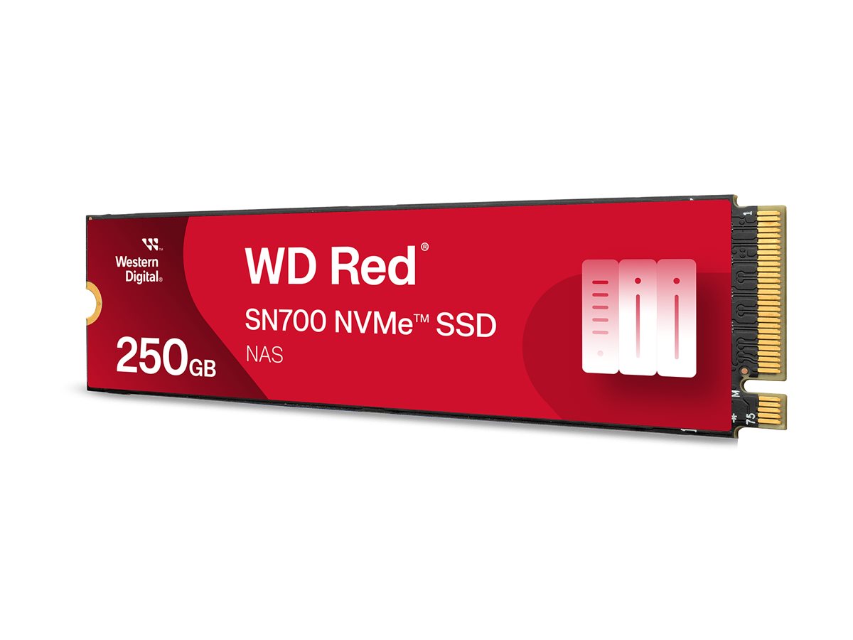 SANDISK WD Red SN700 250GB SSD Vorderansicht