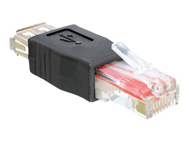 DELOCK Adapter USB 2.0-A Bu > RJ45 St - Vorderansicht