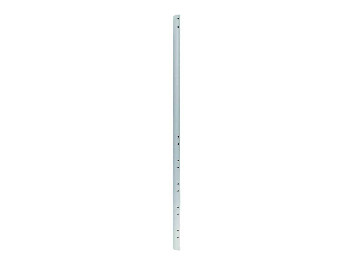 NEOMOUNTS FPMA-CP150 Ceiling Extension Pole 150cm - Montagebeispiel