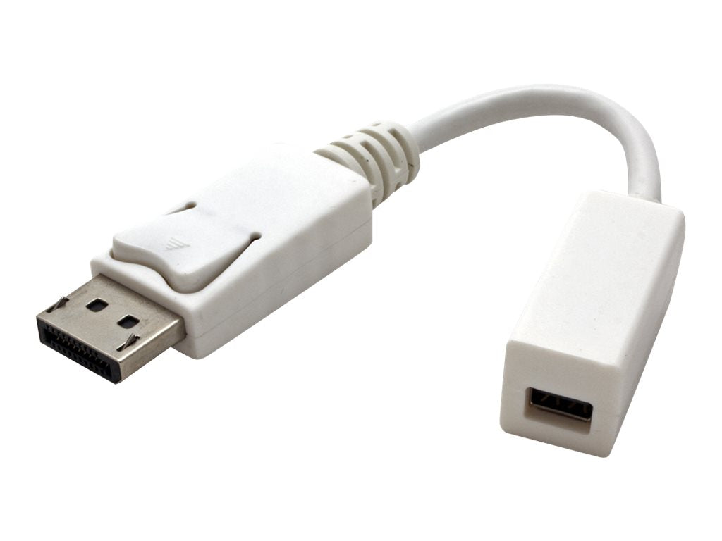 ROLINE DisplayPort Adapter DP Stecker - Mini DP Buchse Verpackung