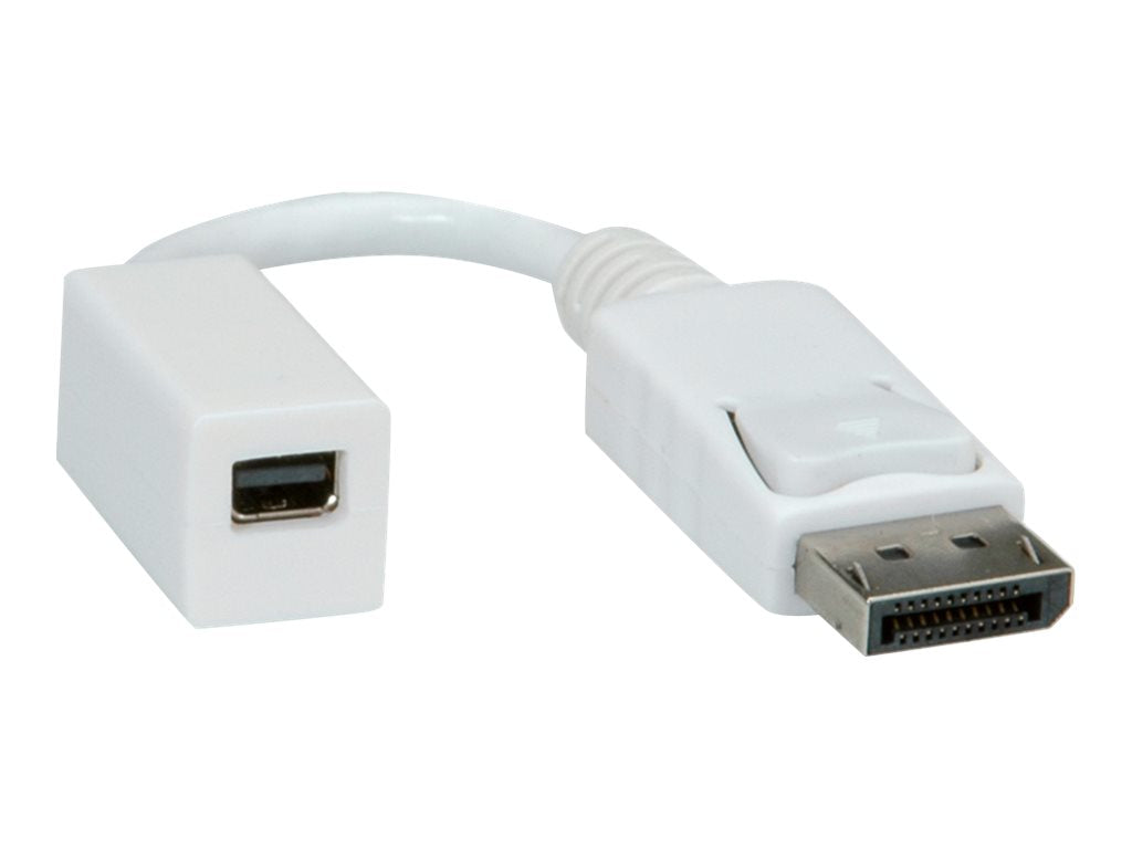 ROLINE DisplayPort Adapter DP Stecker - Mini DP Buchse Detailansicht
