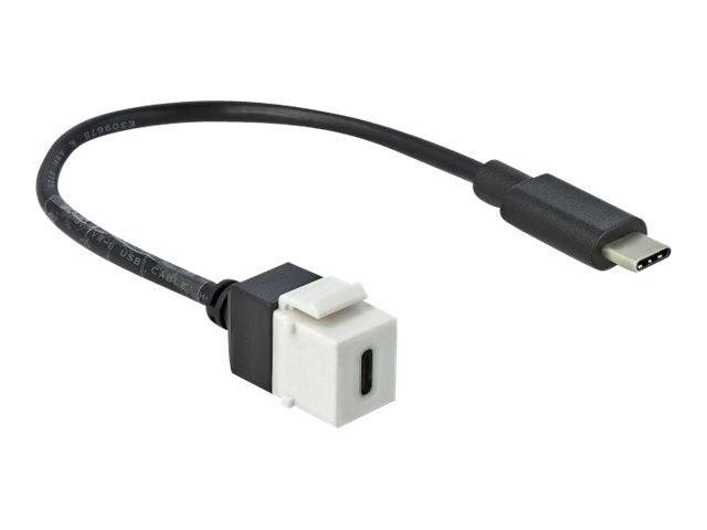 DELOCK Keystone Modul USB 3.0 C Buchse > USB 3.0 C Stecker mit Kabel
