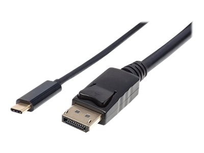 MANHATTAN USB Typ C auf DisplayPort-Kabel 2m - Anschlussansicht