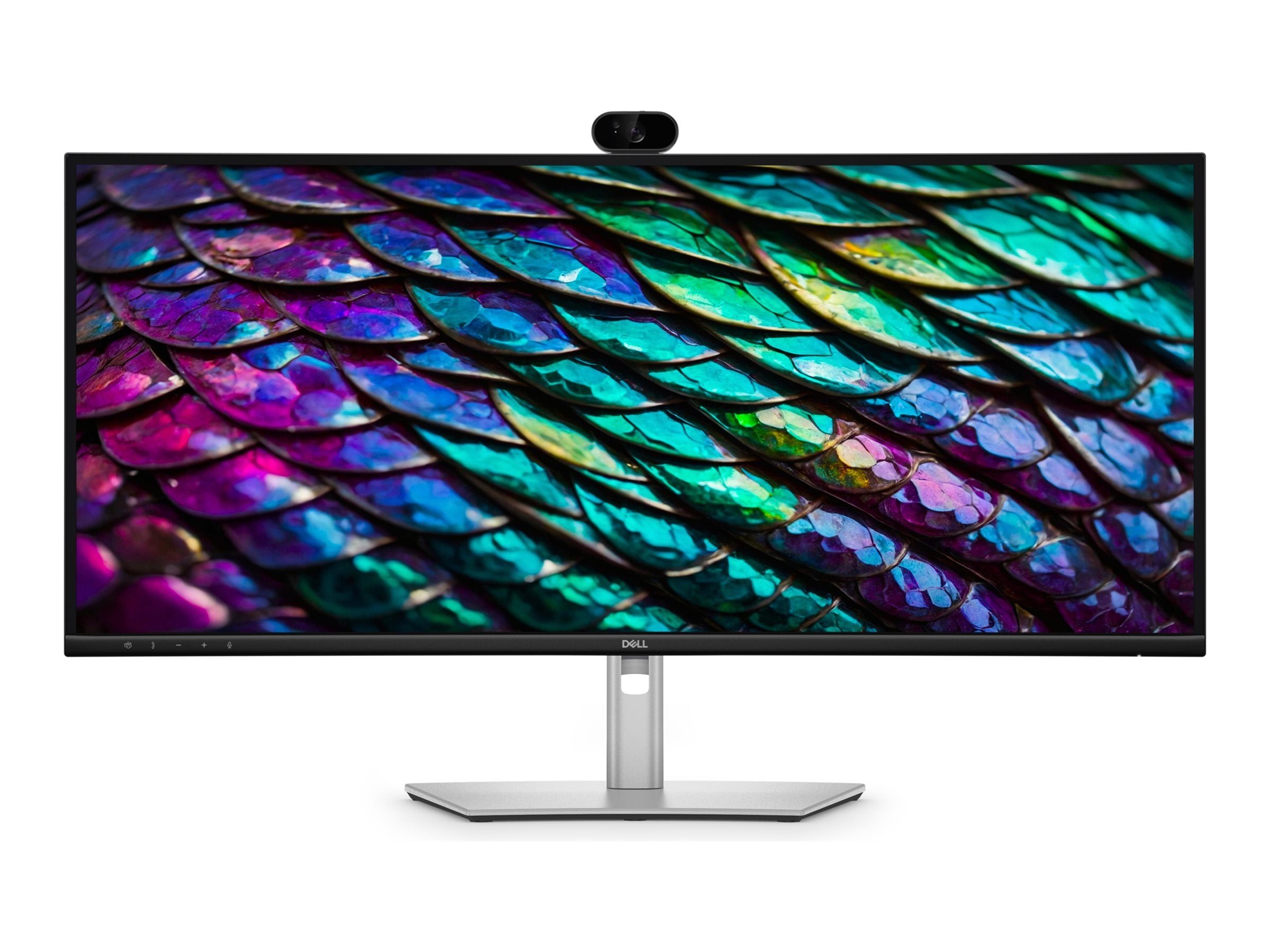 DELL Pro P3426WEB Monitor Vorderansicht