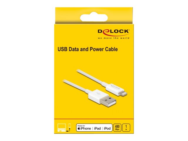 DELOCK USB Daten- und Ladekabel für iPhone iPad iPod weiss 1m - Vorderansicht