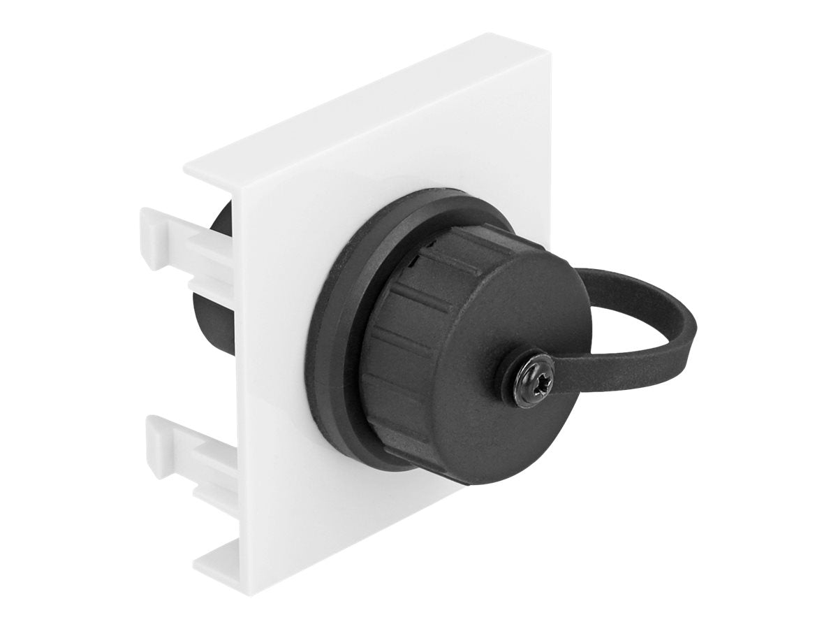DELOCK Easy 45modul SuperSpeed USB 5 Gbps USB Typ-A Buchse Vorderansicht