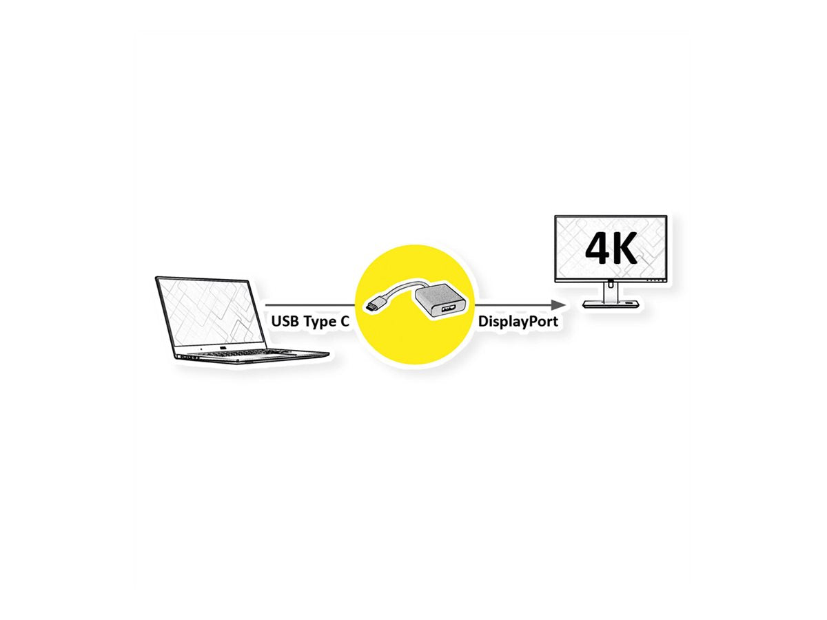 ROLINE Display Adapter USB Typ C - DisplayPort v1.2 ST/BU Verpackung