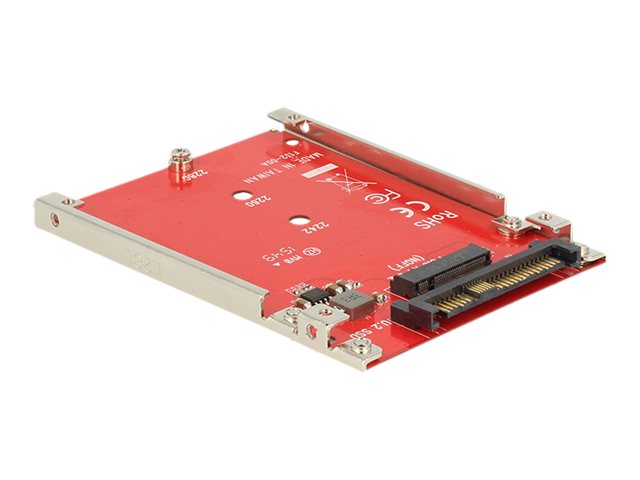 DELOCK Konverter U.2mini SAS HD SFF-8639 Vorderansicht