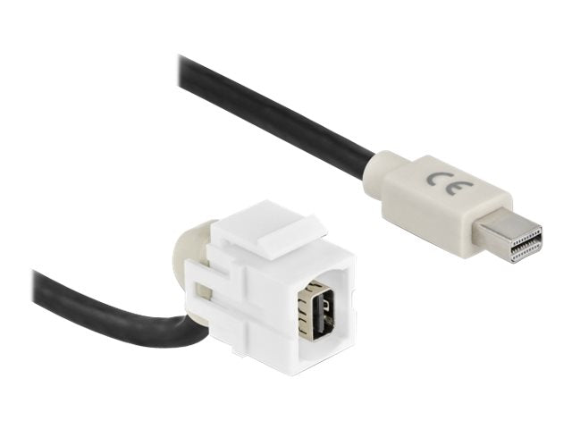 DELOCK Keystone Modul mini DisplayPort Buchse 110 Verpackung