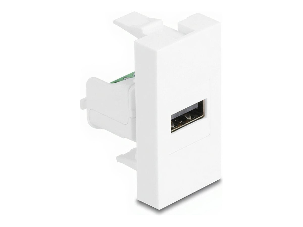 DELOCK Easy 45modul USB 2.0 Typ-A Buchse zu Terminalblock - Vorderansicht