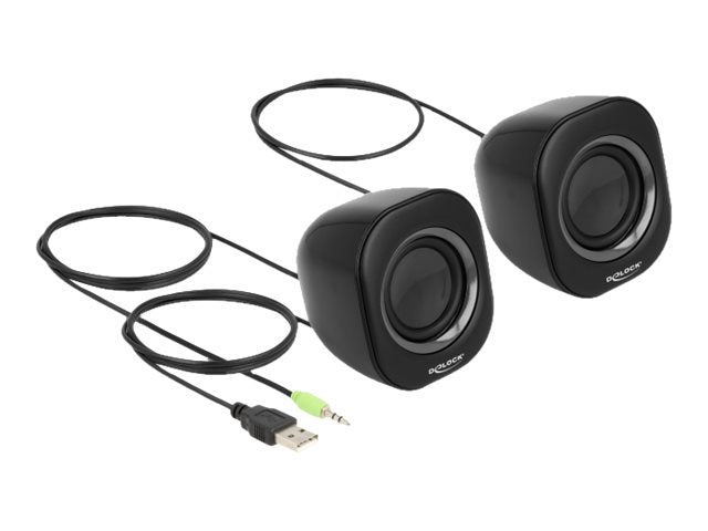 DELOCK Mini Stereo PC Lautsprecher Vorderansicht