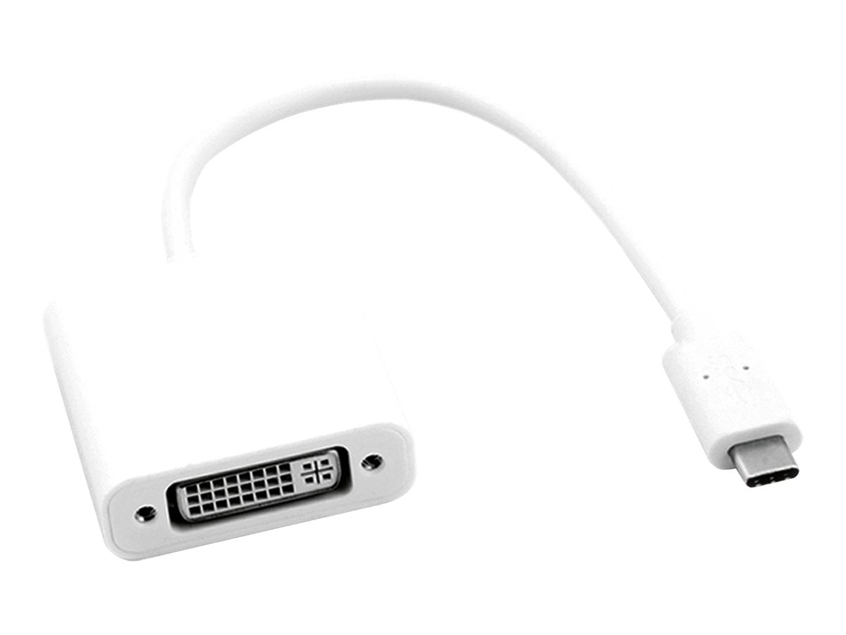 ROLINE Display Adapter USB Typ C - DVI Vorderansicht
