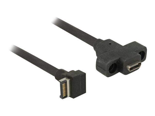 DELOCK Kabel USB 3.1 Gen 2 Key A 20 Pin Stecker Vorderansicht