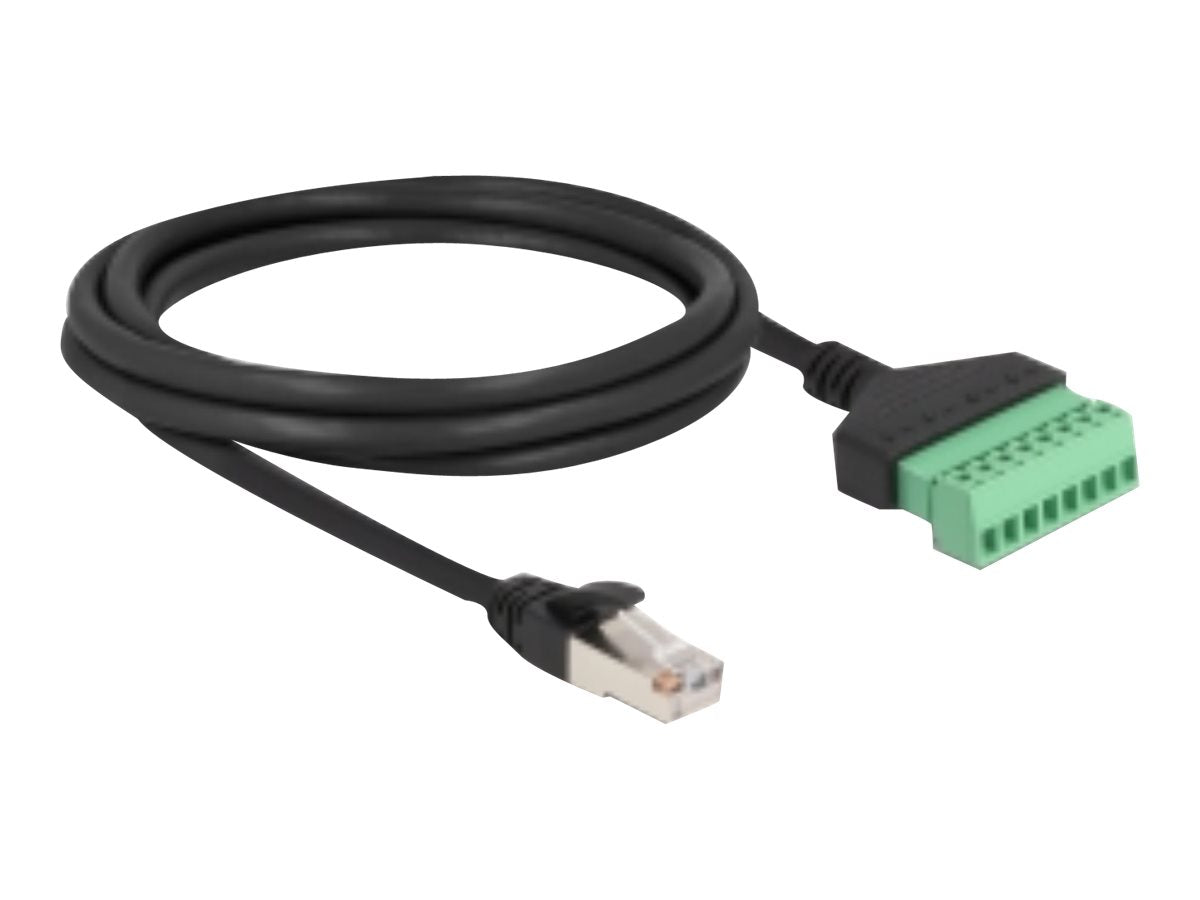 DELOCK RJ45 Kabel Cat.6 Stecker zu Terminalblock Adapter 2m - Vorderansicht