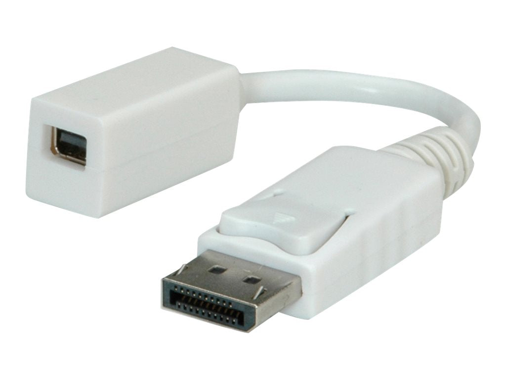 ROLINE DisplayPort Adapter DP Stecker - Mini DP Buchse Vorderansicht