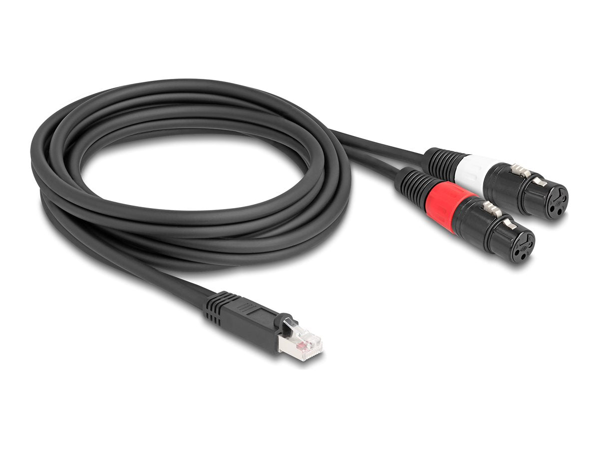 DELOCK Adapterkabel RJ45 Stecker zu 2 x XLR 3 Pin Buchse schwarz 2m - Vorderansicht