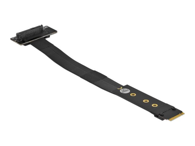 DELOCK M.2 Key M zu U.2 SFF-8639 NVMe Adapter Vorderansicht