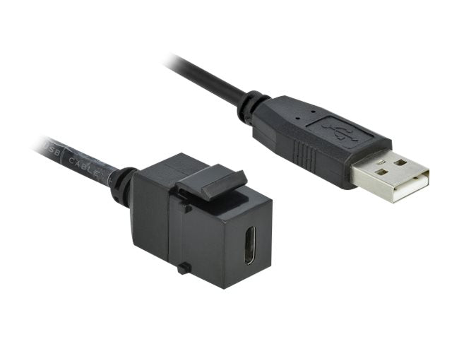 DELOCK Keystone Modul USB 2.0 C Buchse > USB 2.0 A Stecker mit Kabel - Vorderansicht
