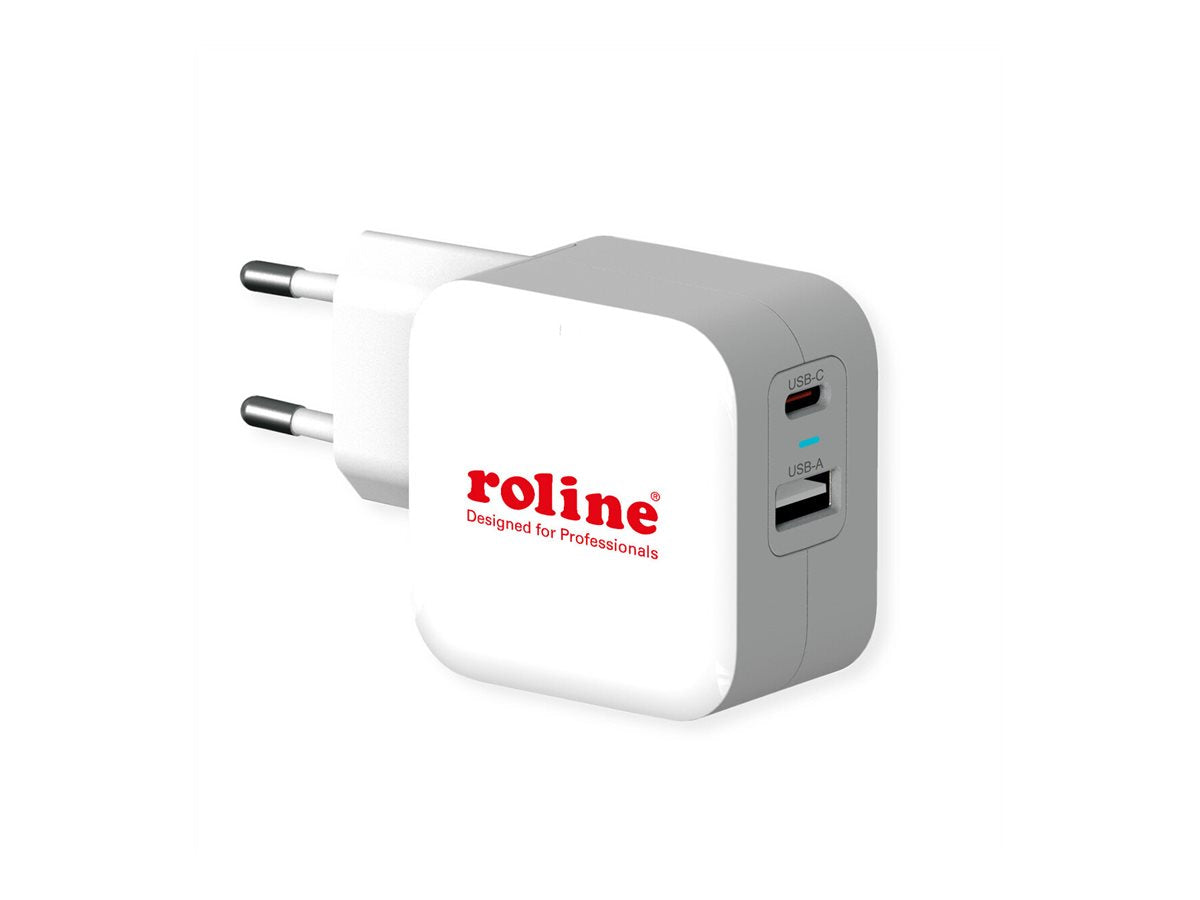 ROLINE USB Charger Detailansicht
