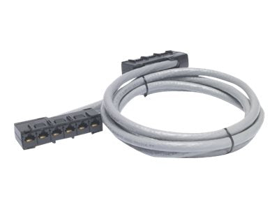 APC Data Distribution Cable CAT5e UTP CMR Gray 6xRJ-45 Jack to 6xRJ-45 Jack - Vorderansicht