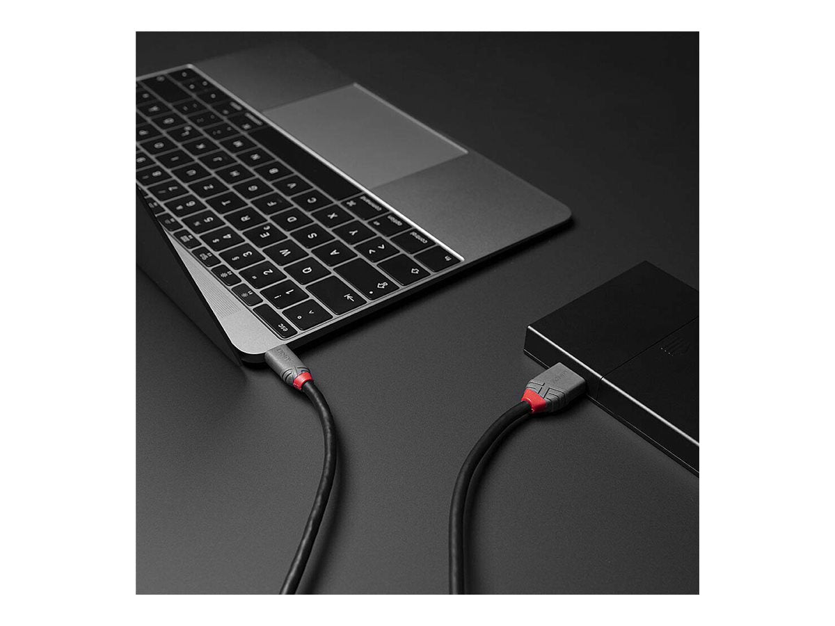 LINDY 2m USB 3.2 Typ C an Micro-B Kabel Detailansicht