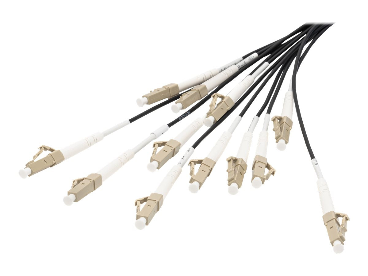 DIGITUS Breakout cable 12 Fibers OM4 LC/UPC-LC/UPC 30m Vorderansicht