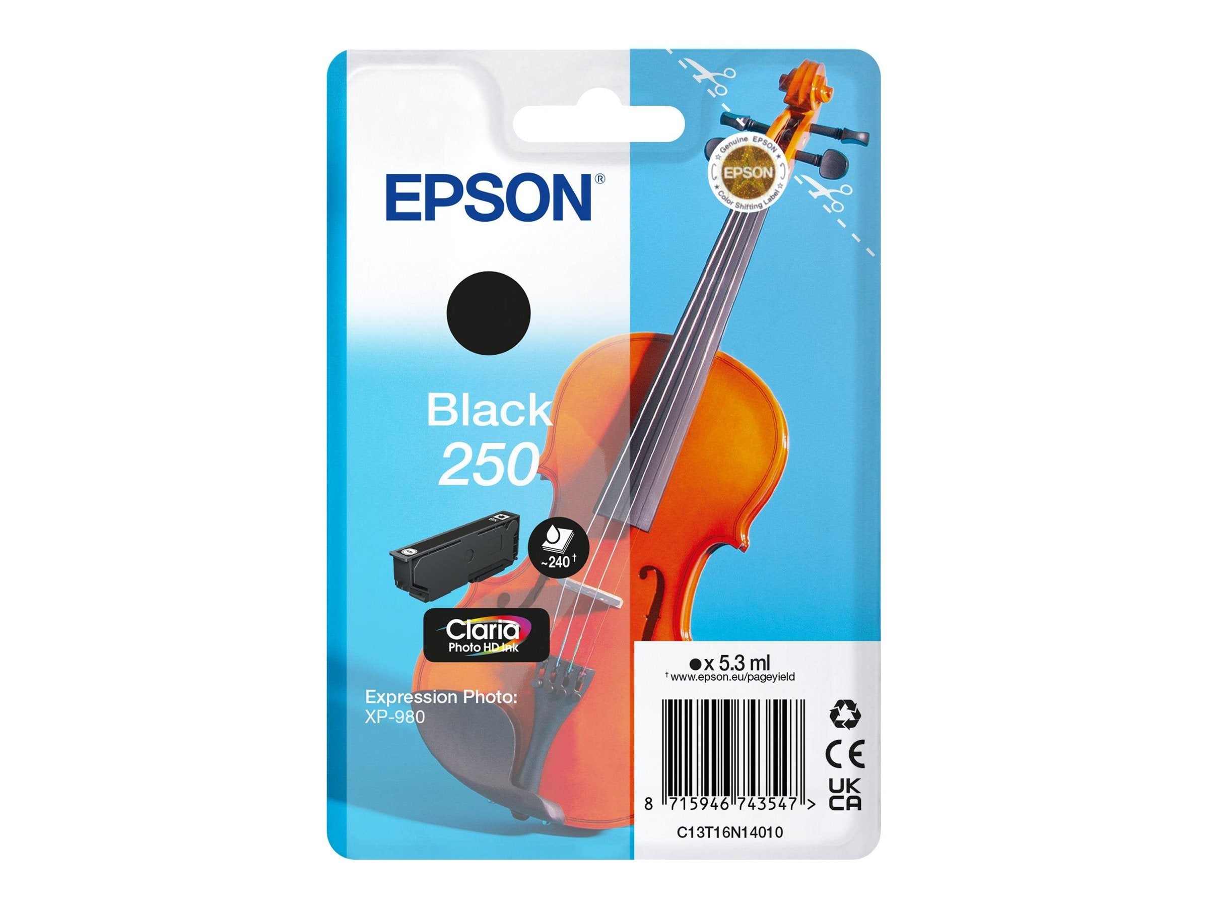 EPSON Singlepack Black 250 Tintenpatrone Vorderansicht