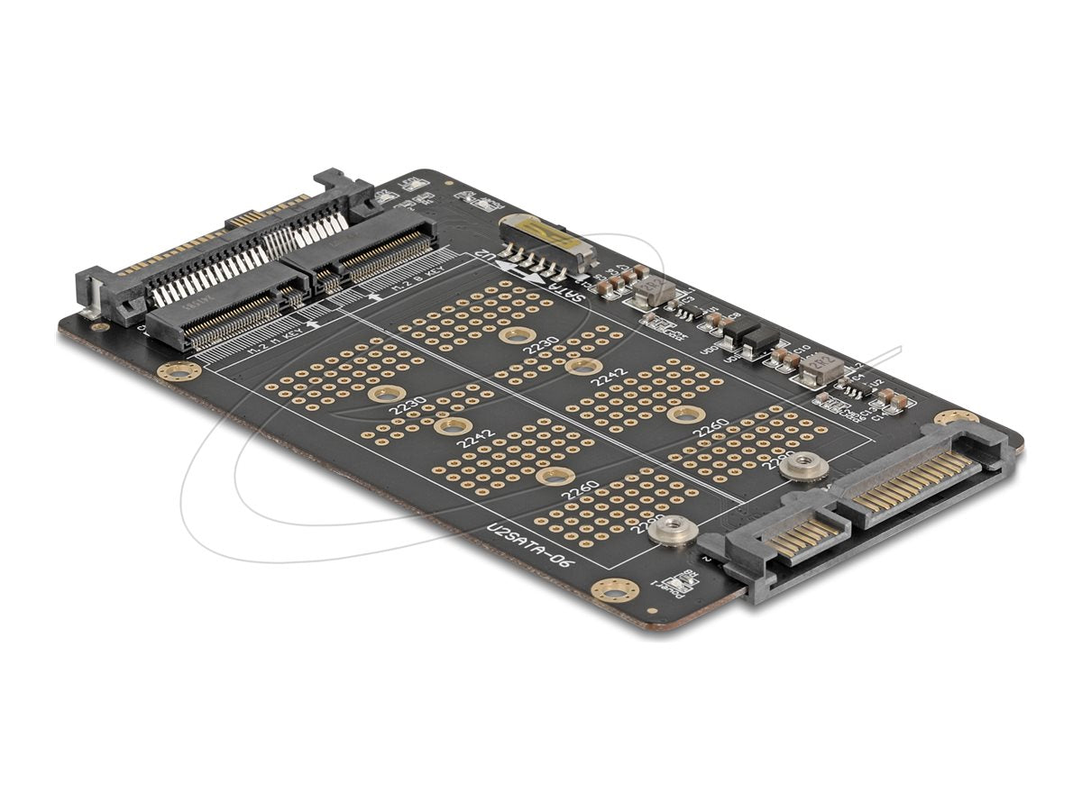 DELOCK Konverter M.2 Key M NVMe SSD zu U.2 und M.2 Key B SATA SSD zu SATA - Vorderansicht