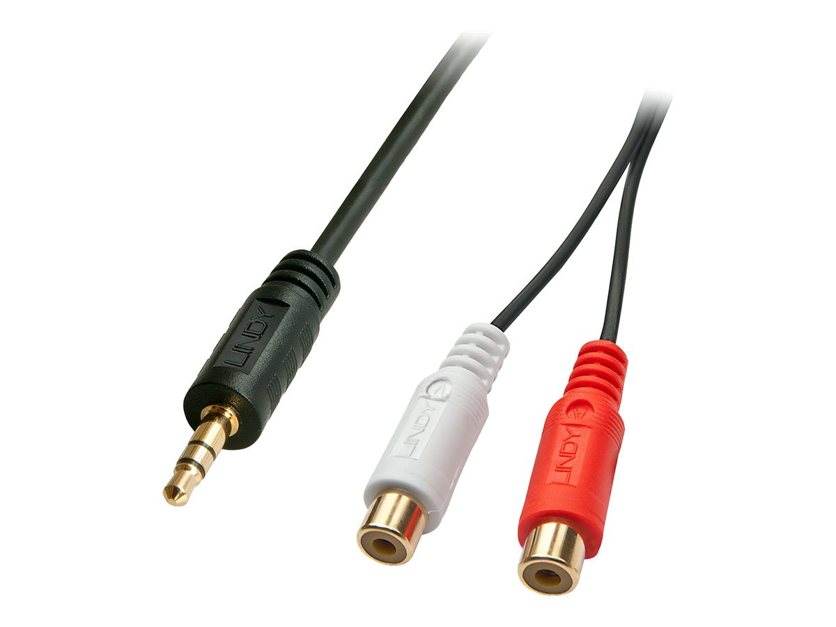 LINDY Audiokabel Stereo 3,5mm male / 2x RCA female 25cm vergoldet - Vorderansicht