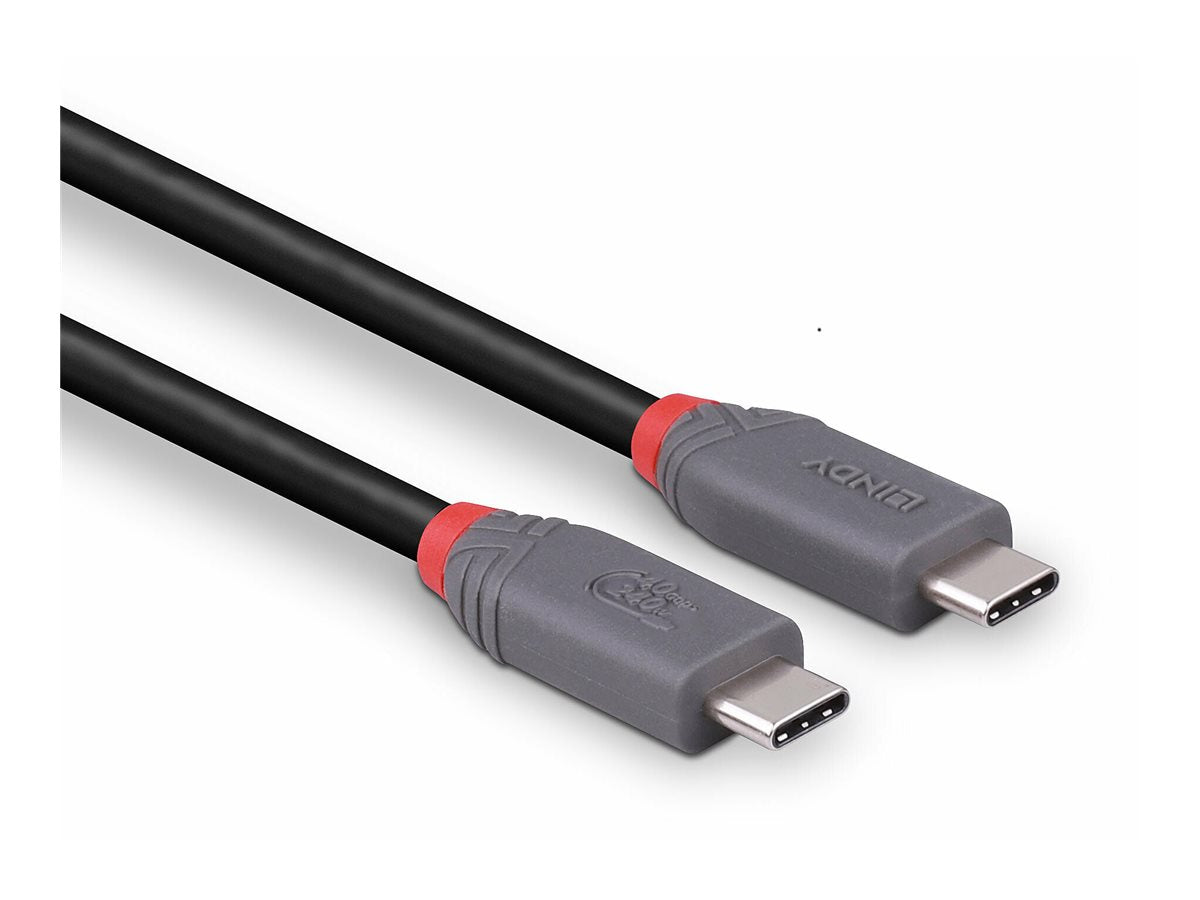 LINDY 2m USB 4 240W Type C Cable Anschlussansicht