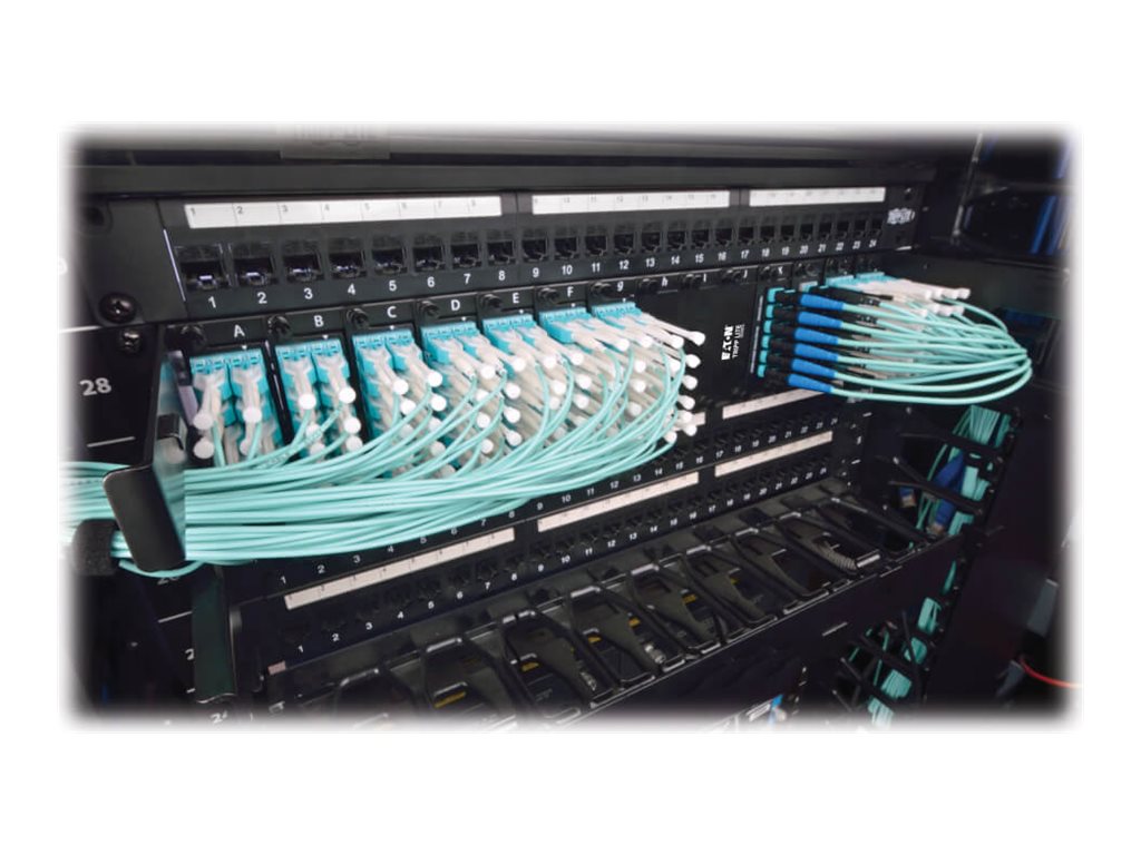 EATON TRIPPLITE High Density Rackmount Fiber Enclosure Panel 14 Cassette 2URM Detailansicht