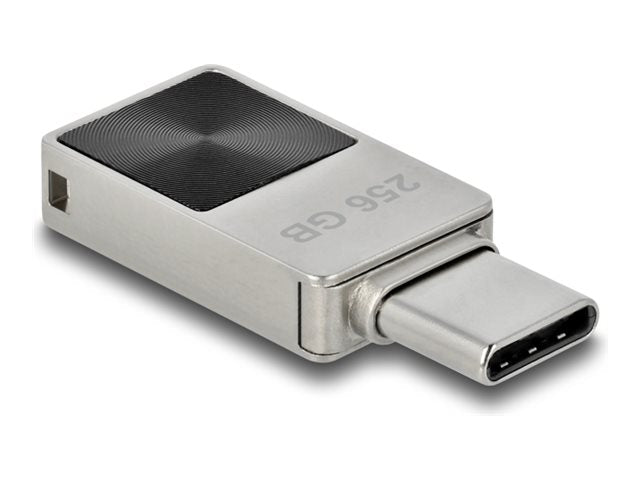 DELOCK Mini USB 5 Gbps USB-C Speicherstick 256GB - Vorderansicht