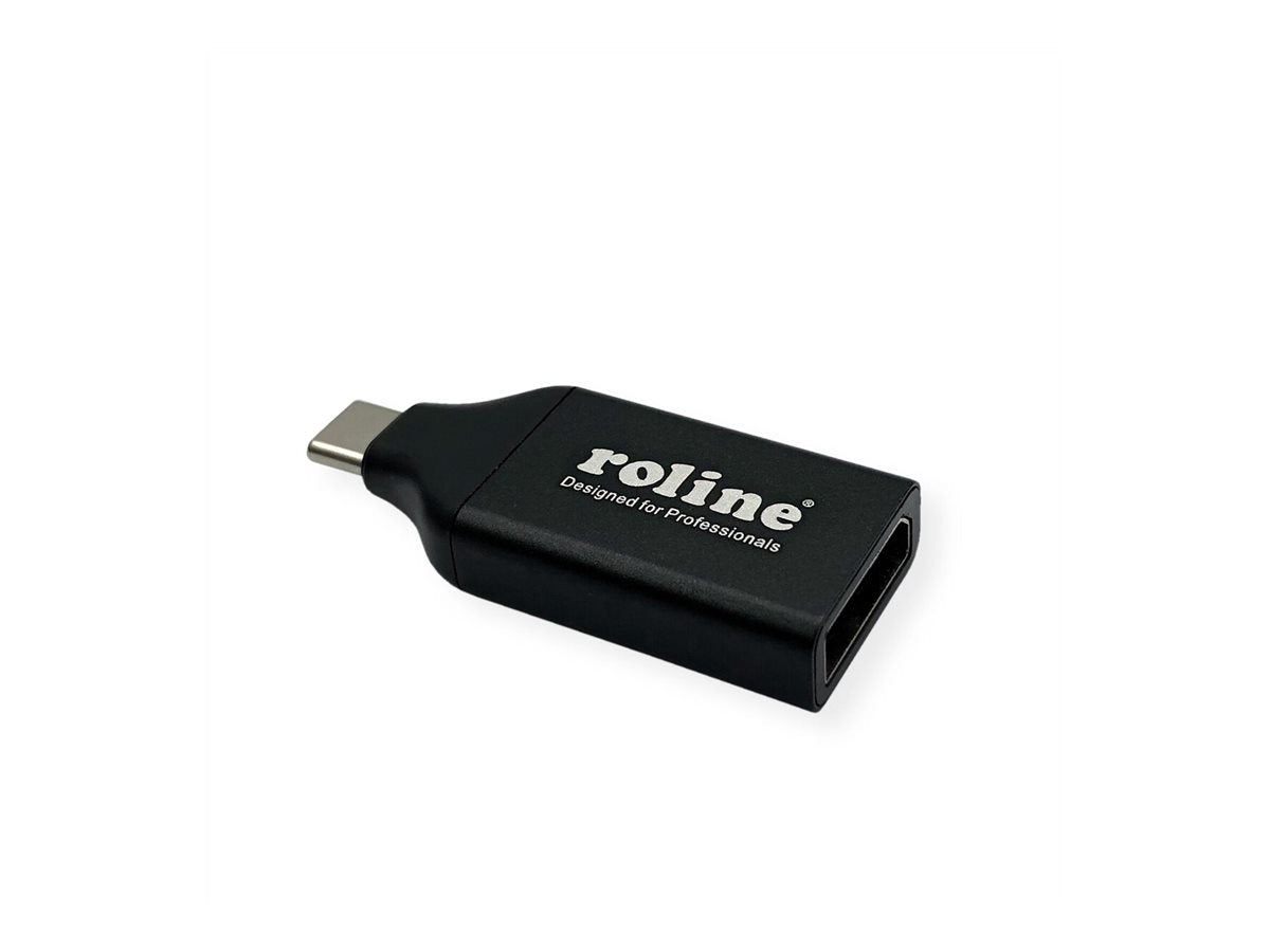 ROLINE Display Adapter USB Typ C - DisplayPort v1.2 Verpackung