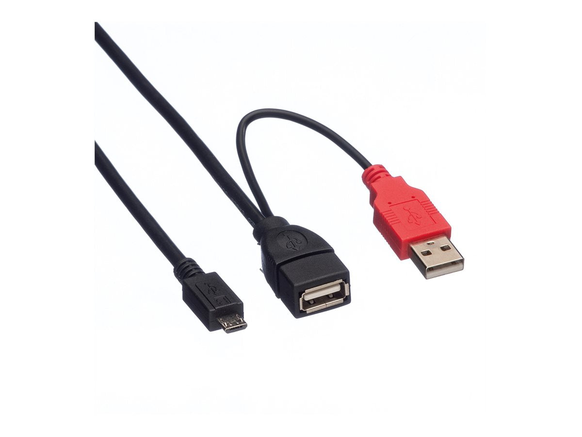 ROLINE USB 2.0 Y-Kabel 2x Typ A ST / BU - Micro B ST 1m Anschlussansicht