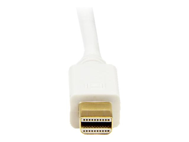 STARTECH.COM 1,8m Mini DisplayPort auf DVI Kabel Vorderansicht